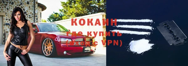 шишки Аркадак