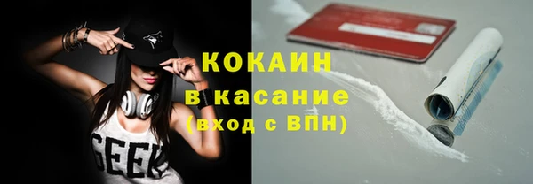 шишки Аркадак