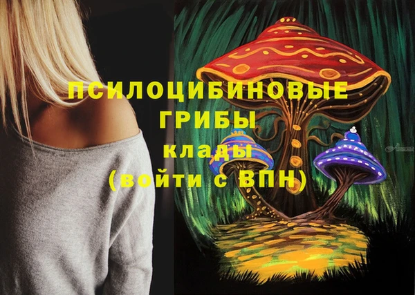 каннабис Баксан