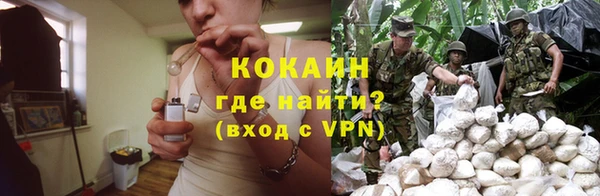 гашик Магас